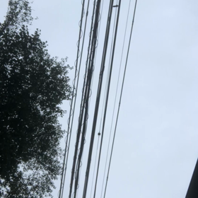 髪型／動画の画像