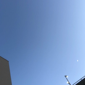 鳥撮るか、月撮るか、迷った／動画の画像