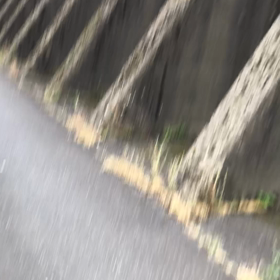 きのうの連帯感／動画の画像