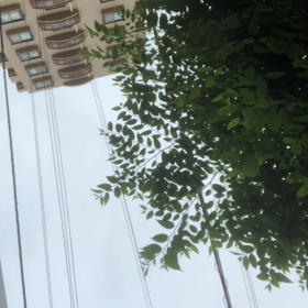 風、髪型／動画の画像