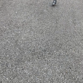 きのうの鳩友2／動画の画像