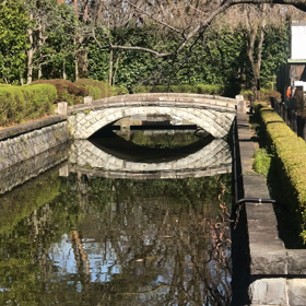 さぎ？の画像