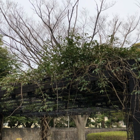 きのうの時計うらの画像