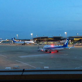夕方の飛行機1／動画の画像