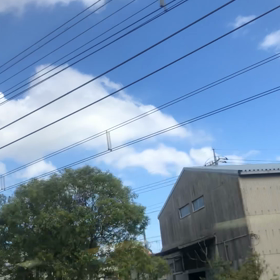 1本／動画の画像