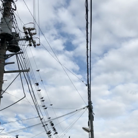きのうの鳩友／動画の画像