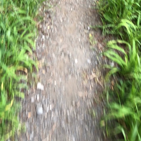 きのうの帰り道／動画の画像