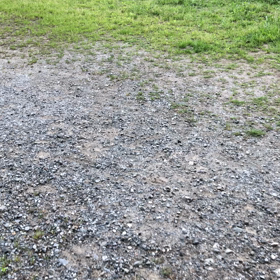 きのうの鳩友／動画の画像