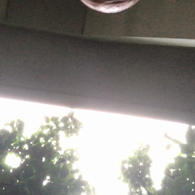 髪型／動画の画像