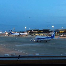 夕方の飛行機2／動画の画像