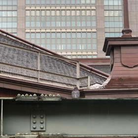クソオjr.鳥の便器／動画の画像