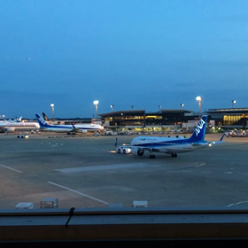 夕方の飛行機3／動画の画像