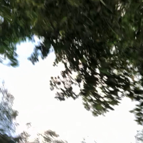 髪型／動画の画像