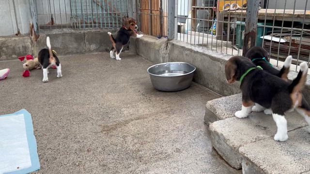 ６月７日　日曜日　の記事動画