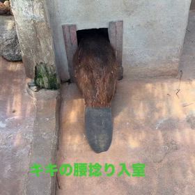 2026/06/16の画像