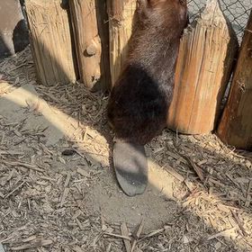 2026/09/27の画像