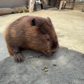 2026/08/14の画像