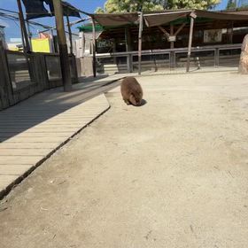 2026/09/13の画像