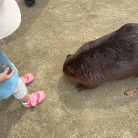 2026/09/19の画像