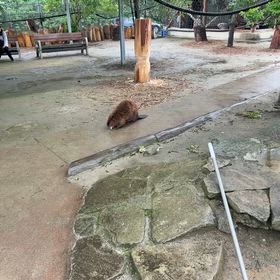 2026/07/30の画像