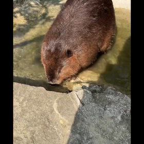 2026/09/28の画像