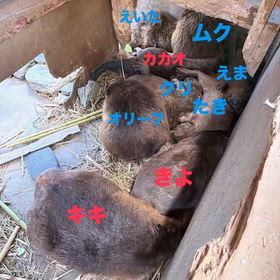 2026/06/11の画像