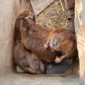 2026/06/17の画像