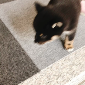 いざ見学への画像