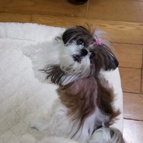 ９月も、今日で終わり。の画像