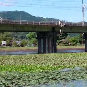 ドクターイエロー関ヶ原を通過(動画付き)の画像