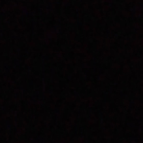 ２０年ぶりにホタルを(動画あり)今度、彼女にも見せてあげようと思いましたがの画像