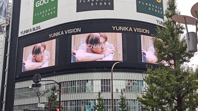都市景観in東京2日目行ってきました♥の記事動画