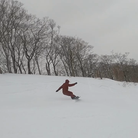 岩手高原フリーランの画像