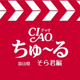 ちゅーるメーカーの画像