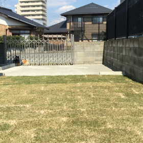 チワワ日記 〜性格の差？躾のモンダイ？〜の画像