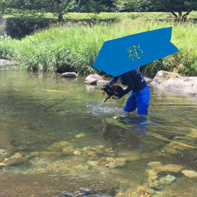 チワワ日記 〜犬生初！！〜の画像