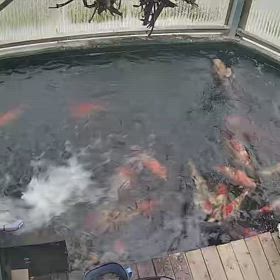 24℃の画像