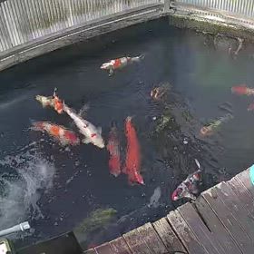 今朝の様子の画像