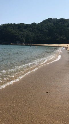 夏の帰省＊*＊の記事動画