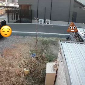 いい加減にしろの画像