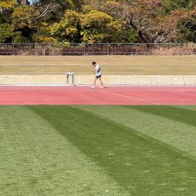 3月14日の画像