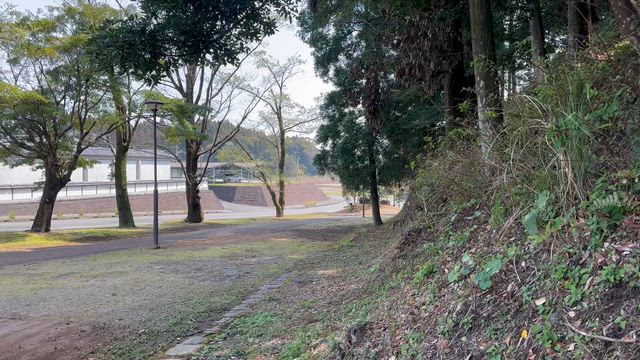 3月28日の記事動画