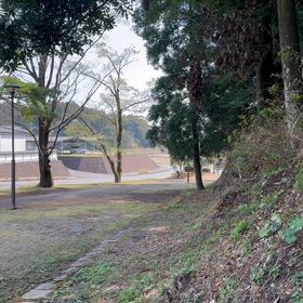 3月28日の画像