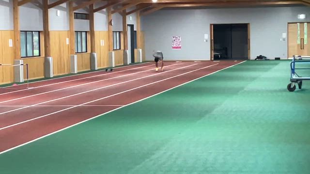 4月14日の記事動画