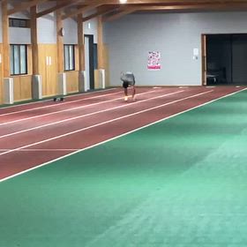 4月14日の画像