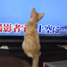 UFOをの画像
