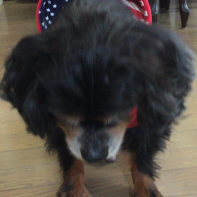 信じられな〜い‼️の画像