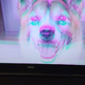 こんな感じの画像