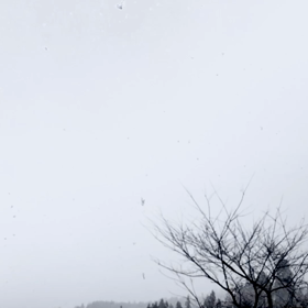 ホワイトクリスマスの画像