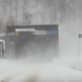 中毒性のある白い粉の画像